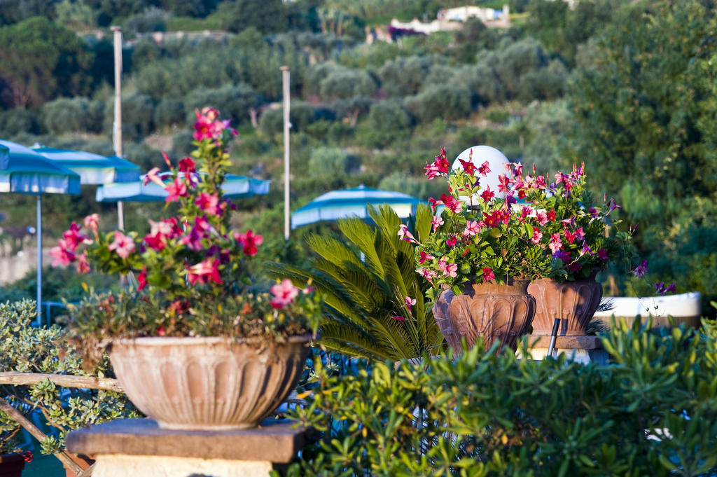 Hotel Poggio Del Sole Forio di Ischia Екстериор снимка