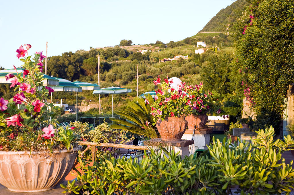 Hotel Poggio Del Sole Forio di Ischia Ресторант снимка