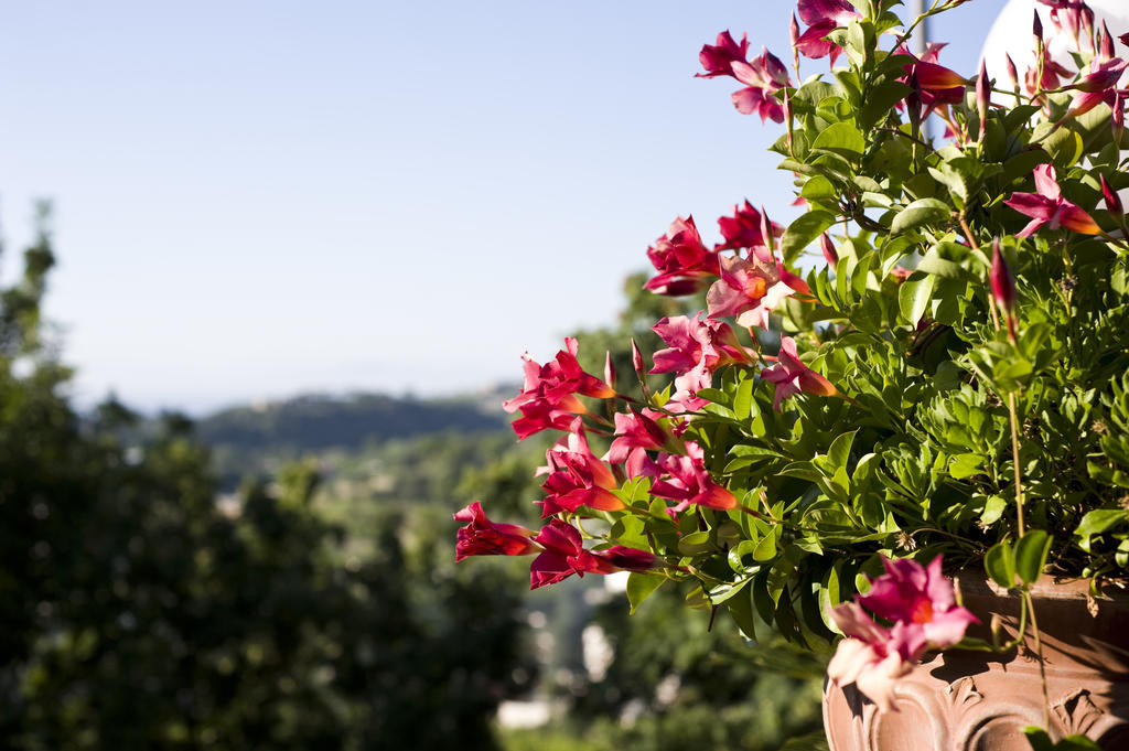 Hotel Poggio Del Sole Forio di Ischia Екстериор снимка